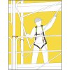 Scaffolding